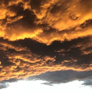 Meet your Posher, Hanna